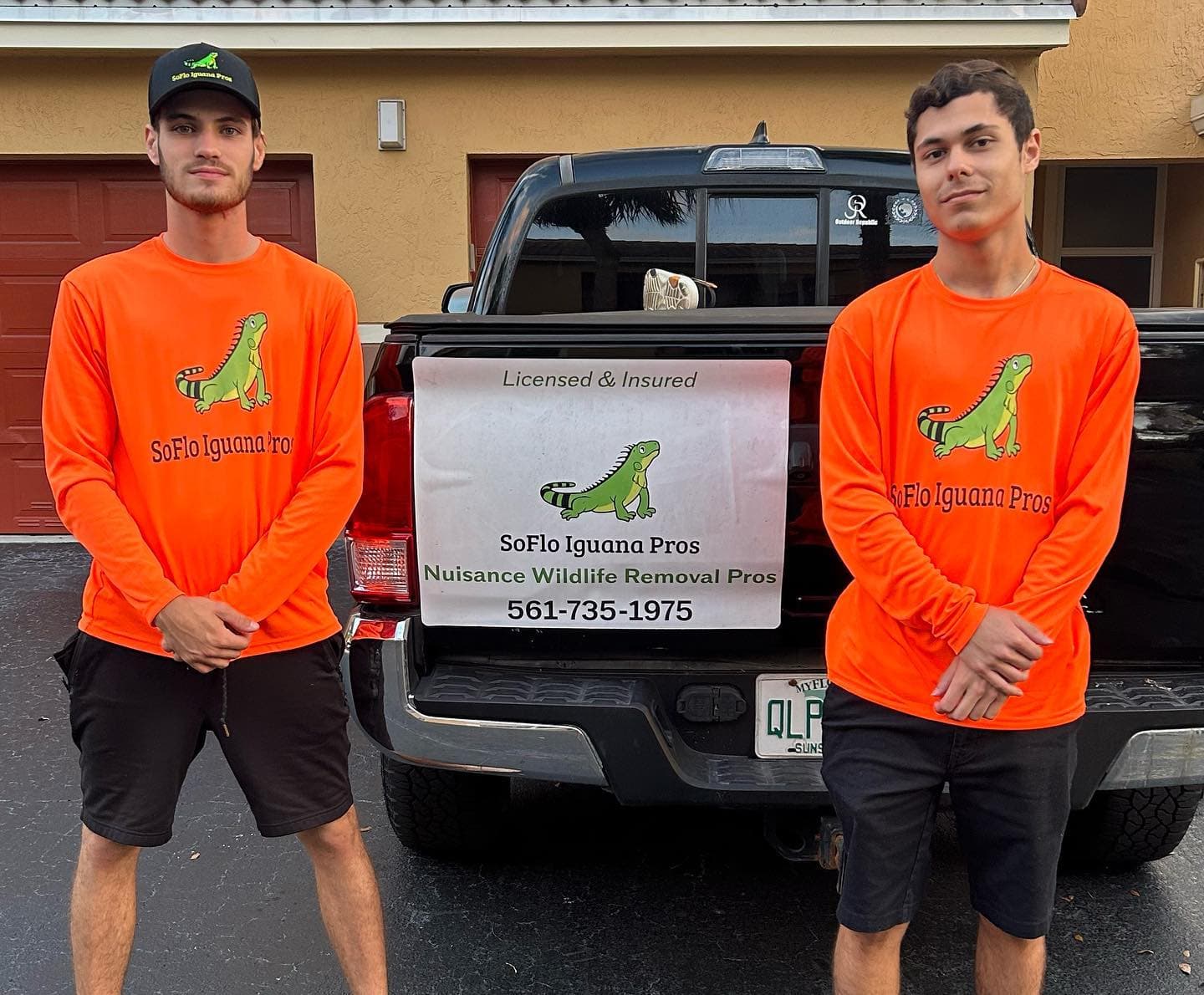 Palm Beach Iguana Control